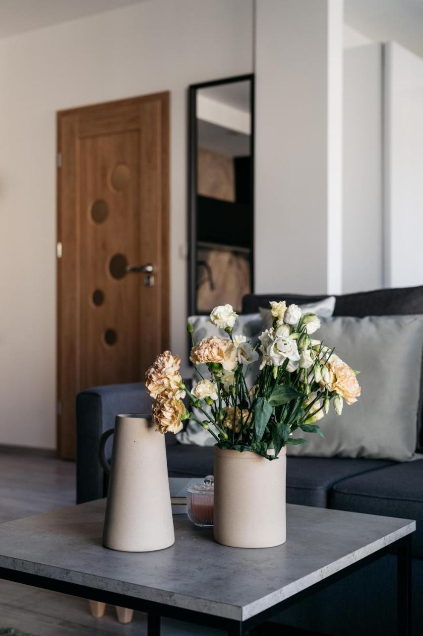 Vistula Apartment - Loftaffair كراكوفيا المظهر الخارجي الصورة